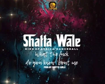 Shatta Wale – What The F*ck Do You Bout Me Shatta Wale – What The F*ck Do You Bout Me