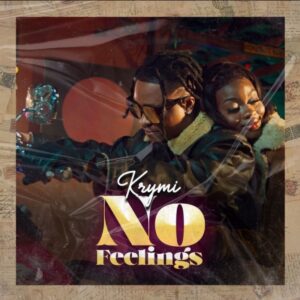 Krymi-No-Feelings-AaceHypez-net_-mp3-image-300x300 Krymi – No Feelings