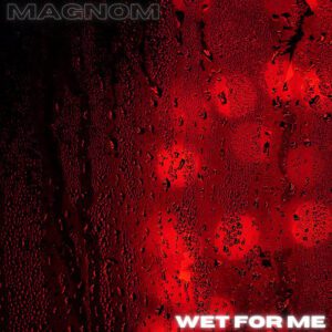 Magnom-Wet-for-Me-AaceHypez-net_-mp3-image-300x300 Magnom – Wet For Me