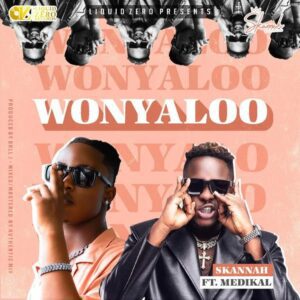 Skannah-–-Wonyaloo-Ft-Medikal-AaceHypez-net_-mp3-image-300x300 Skannah – Wonyaloo Ft Medikal