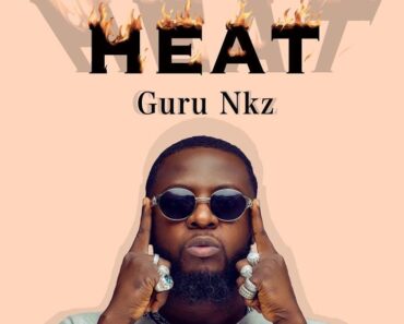 Guru Nkz – Heat