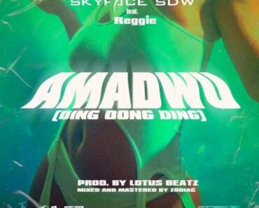 Skyface SDW – Amadwo (Ding Dong Ding) Ft Reggie