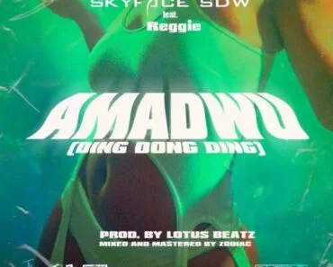 Skyface SDW – Amadwo (Ding Dong Ding) Ft Reggie Skyface SDW – Amadwo (Ding Dong Ding) Ft Reggie