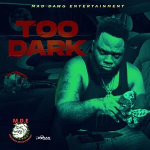 Too-Dark-AaceHypez-net_-mp3-image-300x300 Chronic Law – Too Dark