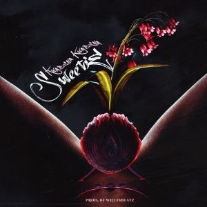 Kwabena-Kwabena-Sweetie-Prod-by-WillisBeatz-AaceHypez-net_-mp3-image-300x300 Kwabena Kwabena – Sweetie
