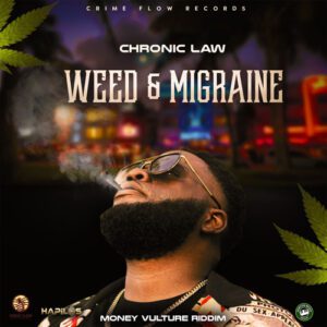 Weed-Migraine-AaceHypez-net_-mp3-image-300x300 Chronic Law – Weed & Migraine