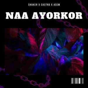 Shaker-Naa-Ayorkor-aacehypez-net_-mp3-image-300x300 Shaker – Naa Ayorkor Ft Castro & Asem