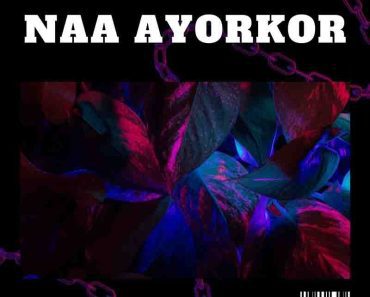 Shaker – Naa Ayorkor Ft Castro & Asem