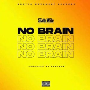 ezgif.com-gif-maker-1-300x300 Shatta Wale – No Brain