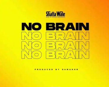 Shatta Wale – No Brain