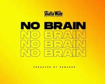 Shatta Wale – No Brain