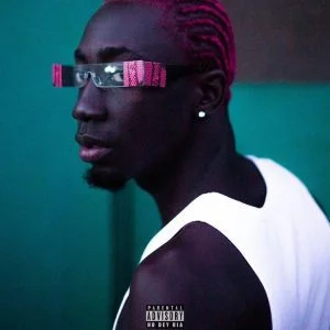 Bosom-P-Yung-–-Pressure-AaceHypez-net_-mp3-image-300x300 Bosom P Yung – Pressure