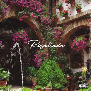 Joey-B-–-Rosalinda-AaceHypez-net_-mp3-image-300x300 Joey B – Rosalinda