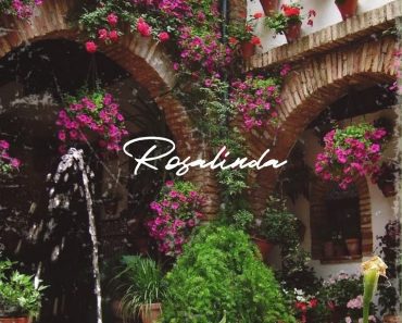 Joey B – Rosalinda