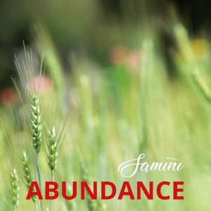 Samini-–-Abundance-AaceHypez-net_-mp3-image-300x300 Samini – Abundance