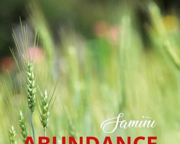 Samini – Abundance