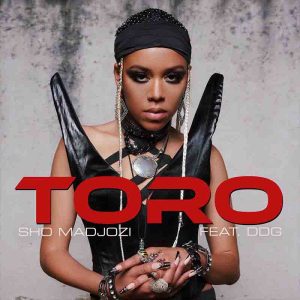 Sho_Madjozi_Toro-300x300 Sho Madjozi - Toro Ft DDG (Prod by Tboy DaFlame)