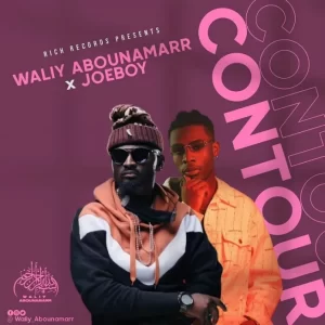Waliy-AbouNamarr-x-Joeboy-Contour-300x300 Waliy AbouNamarr x Joeboy – Contour