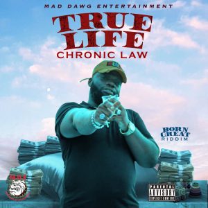 Chronic-Law-True-Life-AaceHypez-net_-mp3-image-300x300 Chronic Law – True Life