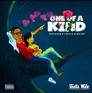 Shatta-Wale-One-of-a-Kind-AaceHypez-net_-mp3-image-298x300 Shatta Wale – One Of A Kind