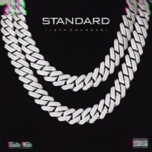 Shatta-Wale-Standard_www-aacehypez-net_-mp3-image-300x300 Shatta Wale - Standard