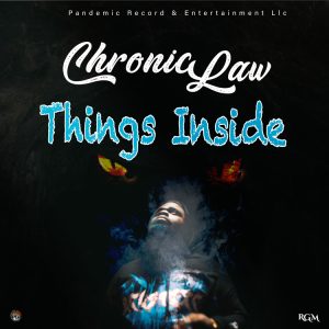 e2c397da9652a2594afad80519e5a1fc96028e4dbdc833acd04ab21826c936f2-300x300 Chronic Law – Things Inside