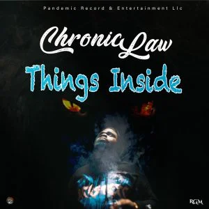 e2c397da9652a2594afad80519e5a1fc96028e4dbdc833acd04ab21826c936f2-300x300 Chronic Law – Things Inside