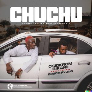 Oseikrom-Sikanii-Chuchu-Ft-Bosom-P-Yung-AaceHypez-net_-mp3-image-300x300 Oseikrom Sikanii – Chuchu Ft Bosom P-Yung