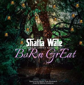 Shatta-Wale-Born-Great-AaceHypez-net_-mp3-image-295x300 Shatta Wale – Born Great