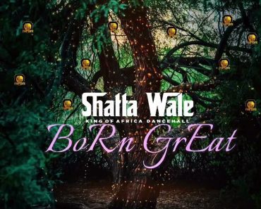 Shatta Wale – Born Great