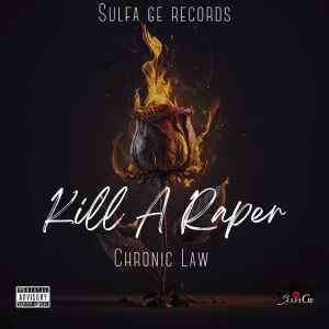 Chronic-Law-Kill-A-Raper-AaceHypez-net_-mp3-image-300x300 Chronic Law – Kill A Raper