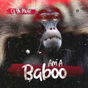 DJ-YK-Mule-Am-a-Baboo-www-aacehypez-net_-mp3-image-300x300 DJ Yk Mule - Am a Baboo