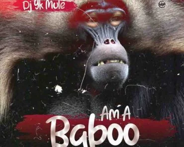 DJ Yk Mule – Am a Baboo