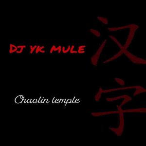 DJ-YK-Shaolin-Temple-www-aacehypez-net_-mp3-image-300x300 Dj Yk Mule - Chaolin Temple (Shaolin)