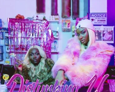 Darkoo – Disturbing U Ft Ayra Starr
