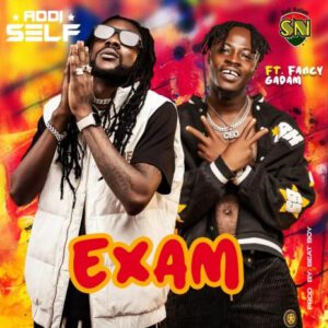 Addi-Self-Exam-Ft-Fancy-Gadam-AaceHypez-net_-mp3-image-300x300 Addi Self – Exam Ft Fancy Gadam