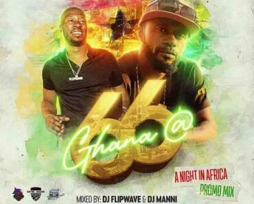 DJ Flipwave & DJ Manni – A Night in Africa Promo Mix