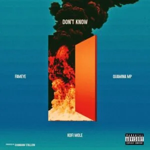Image-1-300x300 Fameye – Don't Know Ft Kofi Mole & Quamina MP