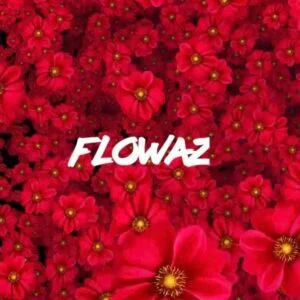 Skillibeng-Flowaz-AaceHypez-net_-mp3-image-300x300 Skillibeng – Flowaz
