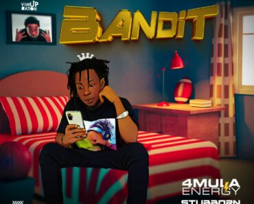 4Mula Energy – Bandit