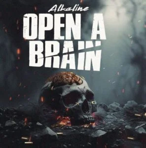 Alkaline-Open-A-Brain-AaceHypez-net_-mp3-image-296x300 Alkaline – Open A Brain