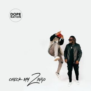 Download-MP3-DopeNation-Check-My-Zingo-AaceHypez-net_-mp3-image-300x300 DopeNation – Check My Zingo
