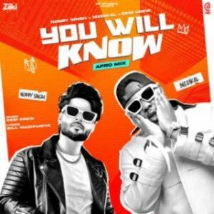 Download-MP3-Nobby-Singh-You-Will-Know-Ft-Medikal-AaceHypez-net_-mp3-image-300x300 Nobby Singh – You Will Know Ft Medikal