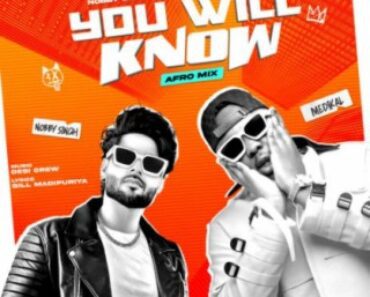 Nobby Singh – You Will Know Ft Medikal