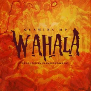 Quamina-Mp-–-Wahala-AaceHypez-net_-mp3-image-300x300 Quamina MP – Wahala