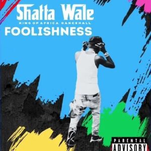 Shatta-Wale-Foolishness-AaceHypez-net_-mp3-image-300x300 Shatta Wale – Foolishness