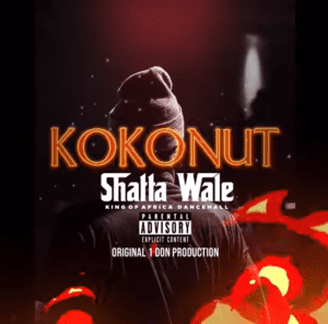 Download-MP3-Shatta-Wale-Kokonut-AaceHypez-net_-mp3-image-300x296 Shatta Wale – Kokonut