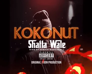 Shatta Wale – Kokonut