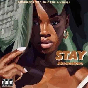 Kawabanga-Stay-Akonoakono-ft-Kojo-Trilla-x-Medusa-AaceHypez-net_-mp3-image-300x300 Kawabanga – Stay (Akonoakono) Ft Kojo Trilla & Medusa