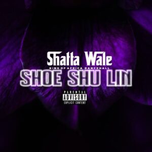 Shatta-Wale-Shoe-Shu-Lin-AaceHypez-net_-mp3-image-300x300 Shatta Wale – Shoe Shu Lin